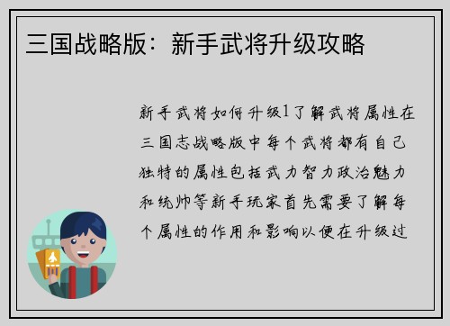 三国战略版：新手武将升级攻略